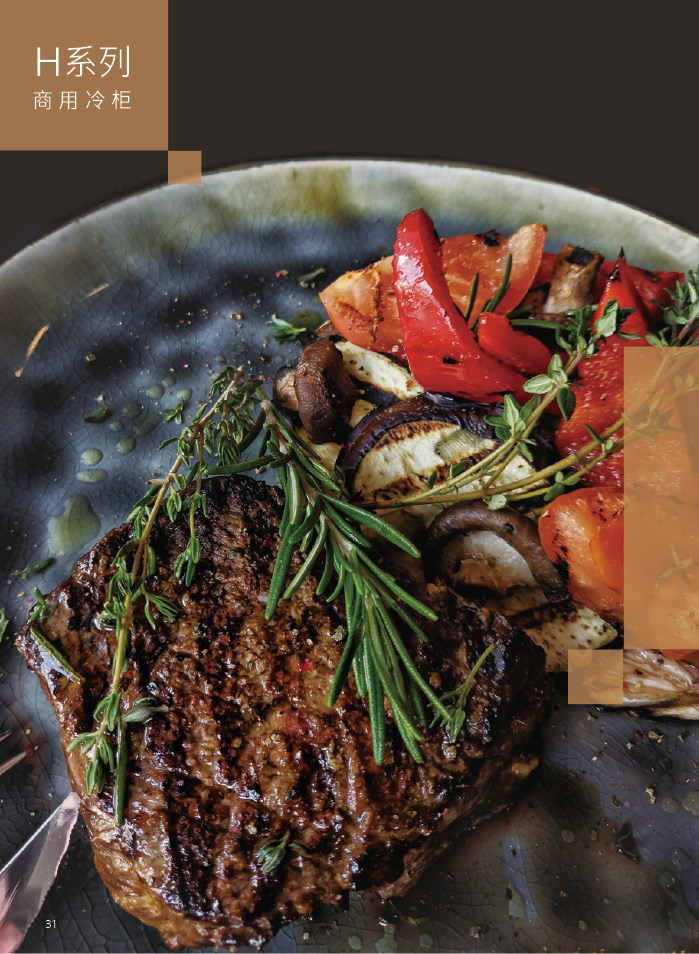 H系列商用冷柜
