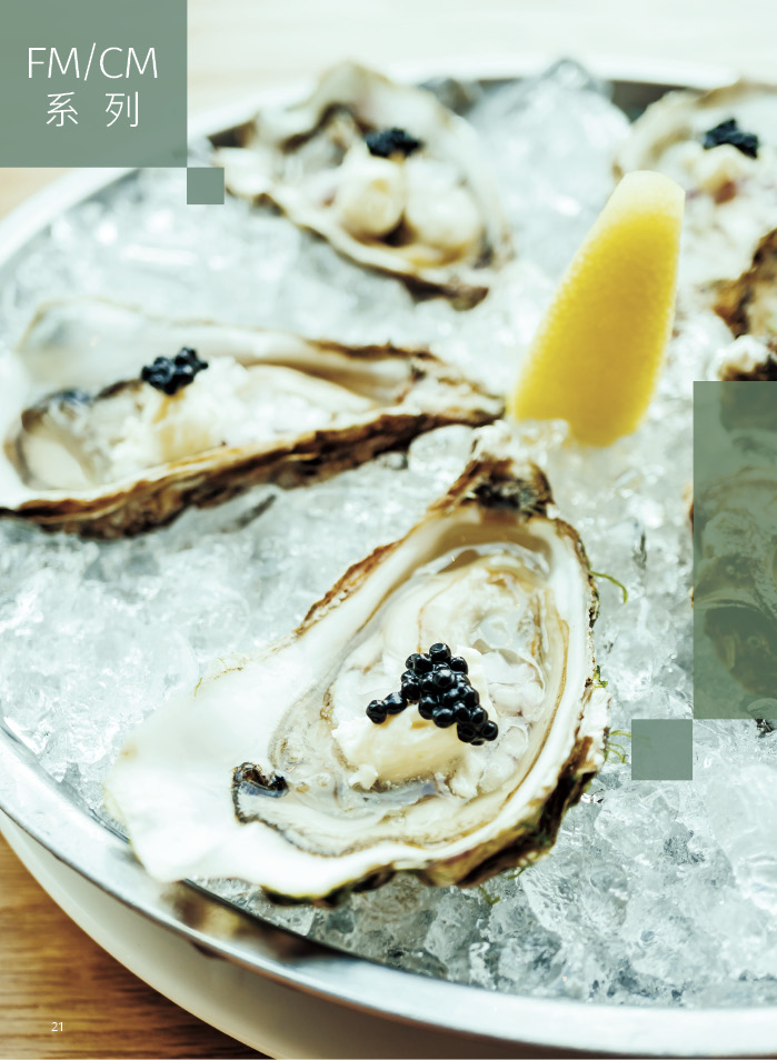 FM/CM系列雪花冰碎冰制冰机